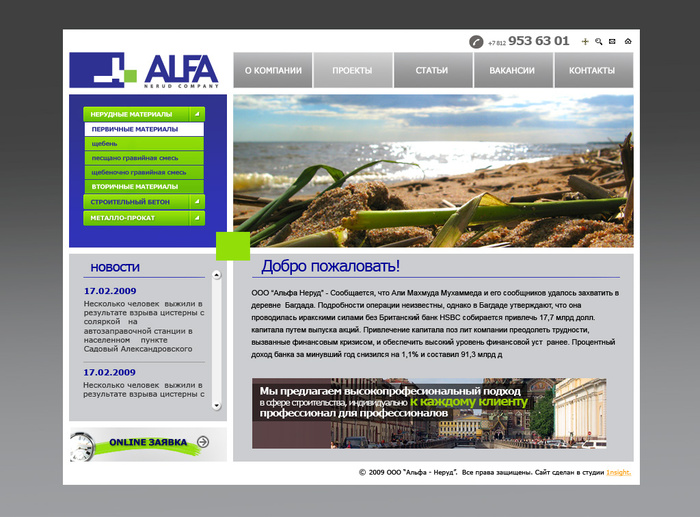 Разработка сайта для компании "AlfaNerud" (1)