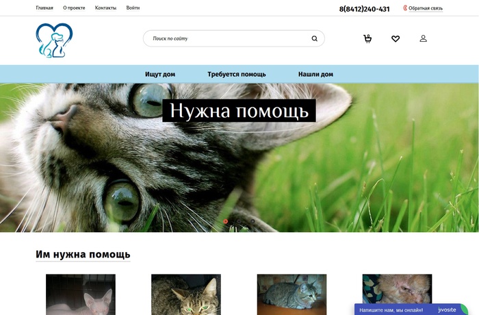Портала помощи бездомным животным (1)